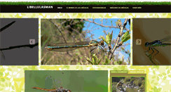 Desktop Screenshot of libellulasman.com